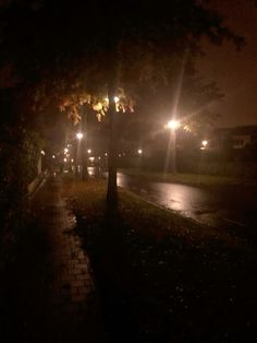 a street at night with lights on and trees in the foreground along side it