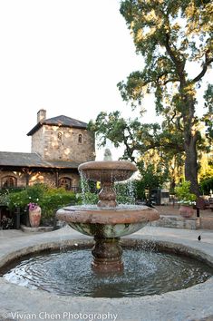 a water fountain in front of a house