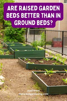 there are raised garden beds better than in ground beds?