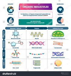 the diagram shows different types of organic and non - gmic substances that are used to make