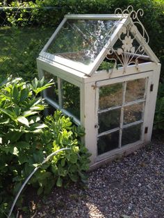 an old glass greenhouse in the middle of some bushes and trees, is being used as a planter