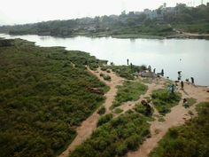 several people are standing on the shore of a body of water near grass and trees