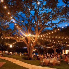 an outdoor event with lights strung from the trees