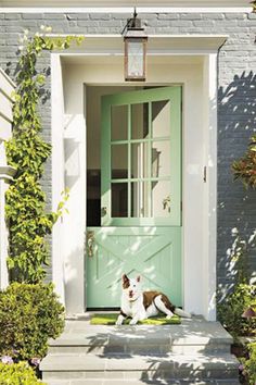 a dog sitting in front of a green door with the words, 4 benmain moore minty green