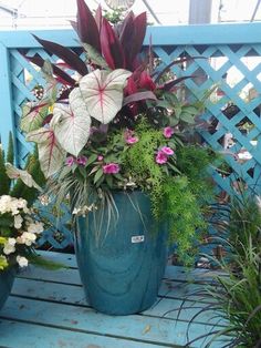 some plants are sitting on a blue bench