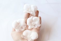 a person's hand holding three white flowers on top of each other in front of a white background