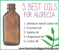 5 Best Carrier Oils for Alopecia & How to Use Whiteheads Remedy, Coconut Oil Beauty, Thick Hair Remedies, Hair Remedies For Growth, Extreme Hair, Coconut Oil Hair, Thicker Hair, Hair Control, Grow Hair Faster