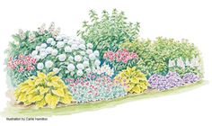 an illustration of a garden with flowers and plants in the foreground, watercolor on paper