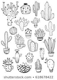 hand drawn cactuses and succulents in different shapes, sizes and colors