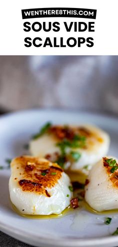 scallops on a white plate topped with parsley