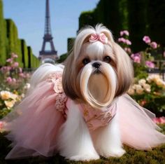 a small dog dressed up like a princess in front of the eiffel tower