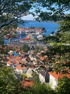 the city is surrounded by many trees and buildings with red roofs, overlooking the water