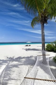 a hammock hanging from a palm tree on the beach