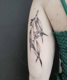 a black and white photo of a woman's arm with an olive branch tattoo on it