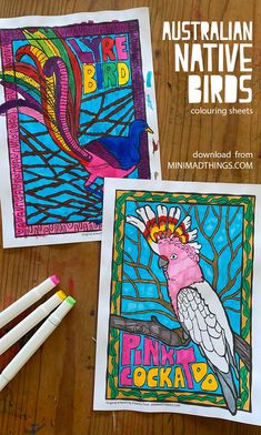 two australian native birds coloring sheets with colored pencils