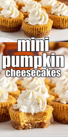 mini pumpkin cheesecakes with whipped cream on top and in the middle, sitting on a white plate