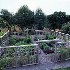 an outdoor garden with many plants growing in the ground and on top of metal railings