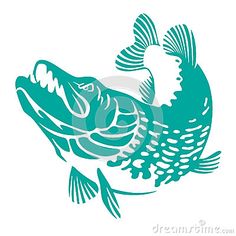 a fish silhouetted on a white background