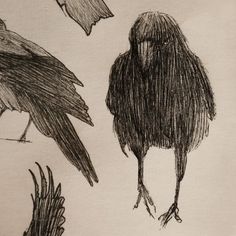 two birds are standing next to each other on a piece of paper with black ink