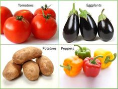 four different types of vegetables are shown in this image, including eggplant, potatoes and tomatoes