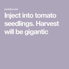 the text reads, inject into tomato seedings harvest will be organic and it's