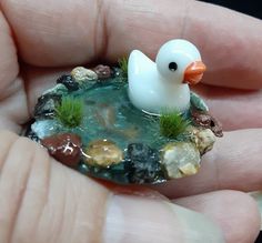 a small white duck sitting on top of a rock in someone's hand,