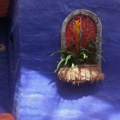 a blue wall with a window and planter in the middle on it's side