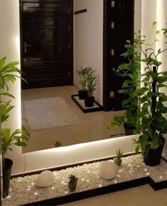 a mirror that has plants in it and some lights on the side of it, along with potted plants