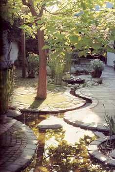 an outdoor garden with stepping stones and trees