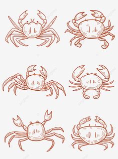 four crabs drawn in orange ink on white paper, crab, drawing, cartoon png and psd