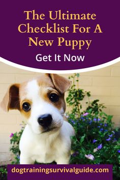 the ultimate puppy checklist for a new puppy get it now