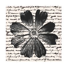 a black and white flower on top of a piece of paper with writing in the background