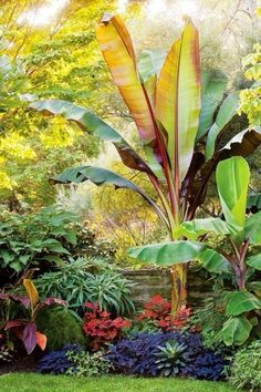 a garden with lots of plants and flowers in the middle of it, surrounded by greenery