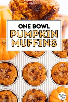 One Bowl Pumpkin Muffins Pumpkin Muffins Recipes Easy, Muffins Recipes Easy, Chocolate Chip Muffins Easy, Pumpkin Muffins Easy, Muffins Easy, Pumpkin Pudding, Overnight French Toast