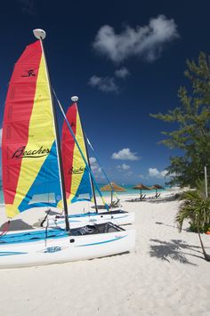 two sailboats on the beach with palm trees in the background