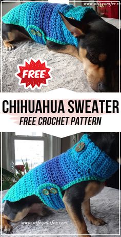 a dog wearing a blue sweater with buttons on it's chest and the words, free chihuahua sweater crochet pattern