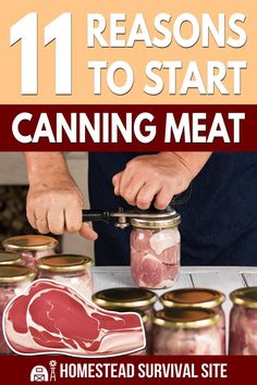 the cover of 11 reasons to start canning meat