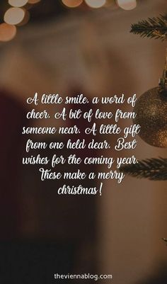 a little smile a word of cheer a bit of love from someone near a little christmas tree