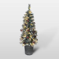 a potted christmas tree with lights and pine cones in it on a white background