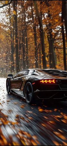 a black sports car driving down a wet road in the woods with autumn leaves on the ground