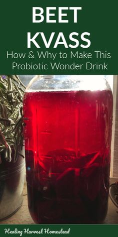 a jar filled with red liquid sitting on top of a table next to a potted plant