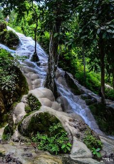 a man standing on top of a waterfall in the forest