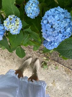 a person standing in front of blue flowers with their feet propped up on the ground