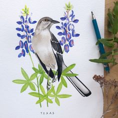 a watercolor painting of a bird sitting on a branch with blue flowers in the background