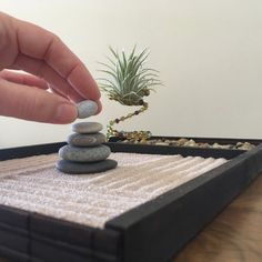 a person stacking rocks on top of each other in front of a succulent plant