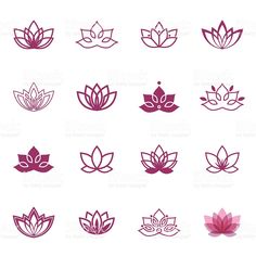 lotus flower icon set on white background