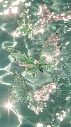 two butterflies floating in the water with sunlight shining on them's wings and back