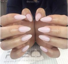 Cheap Wishlist, Maquillage On Fleek, Unghie Sfumate, Kutek Disney, Baby Pink Nails, Milky Nails, Cute Acrylic Nails