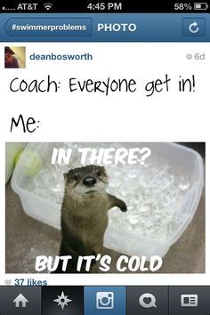 an otter is standing in front of a plastic container with the caption coach everyone get in me but it's cold