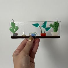 a hand holding up a glass shelf with cactus and succulents on it